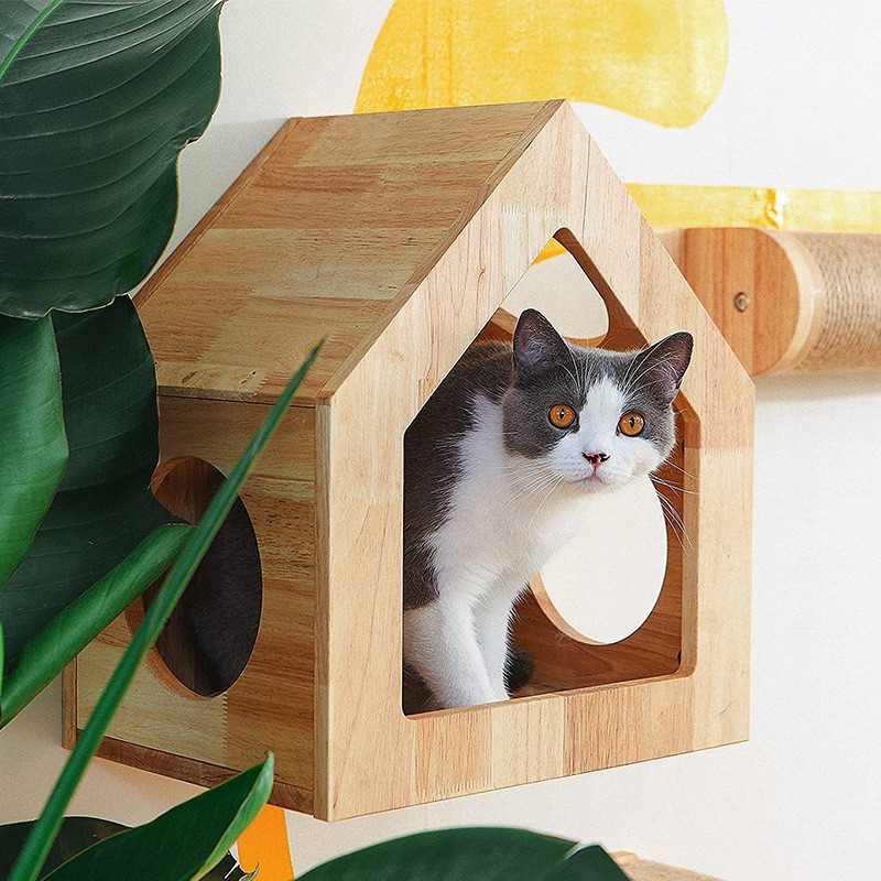 Jouets en bois pour animaux de compagnie
